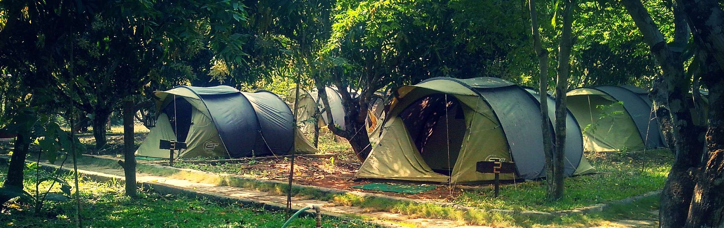 Dandeli Shikra Jungle Resort