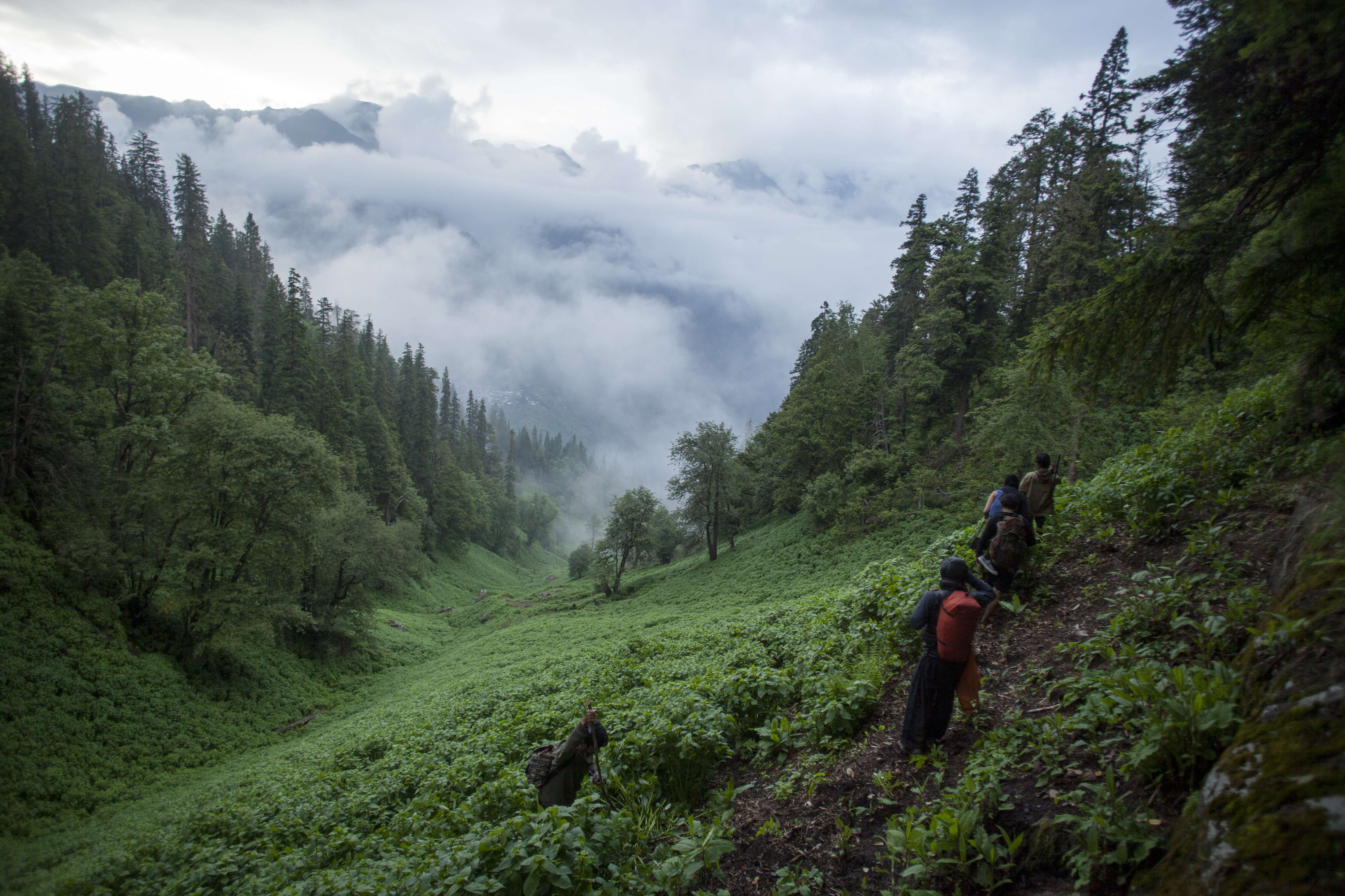 Trek to Malana Village