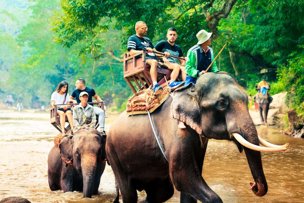 Sea View Elephant Camp Nai Harn, Phuket