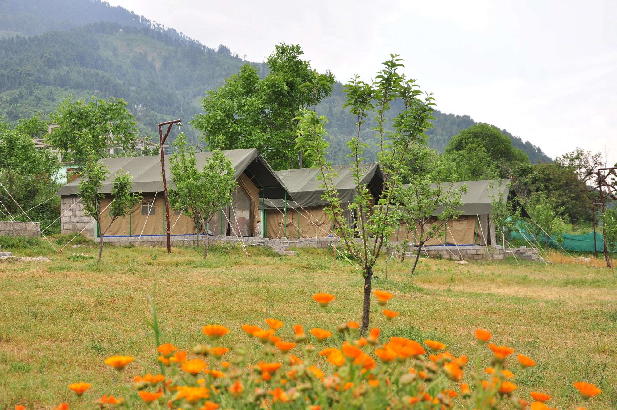 Nature’s Outpost Camps