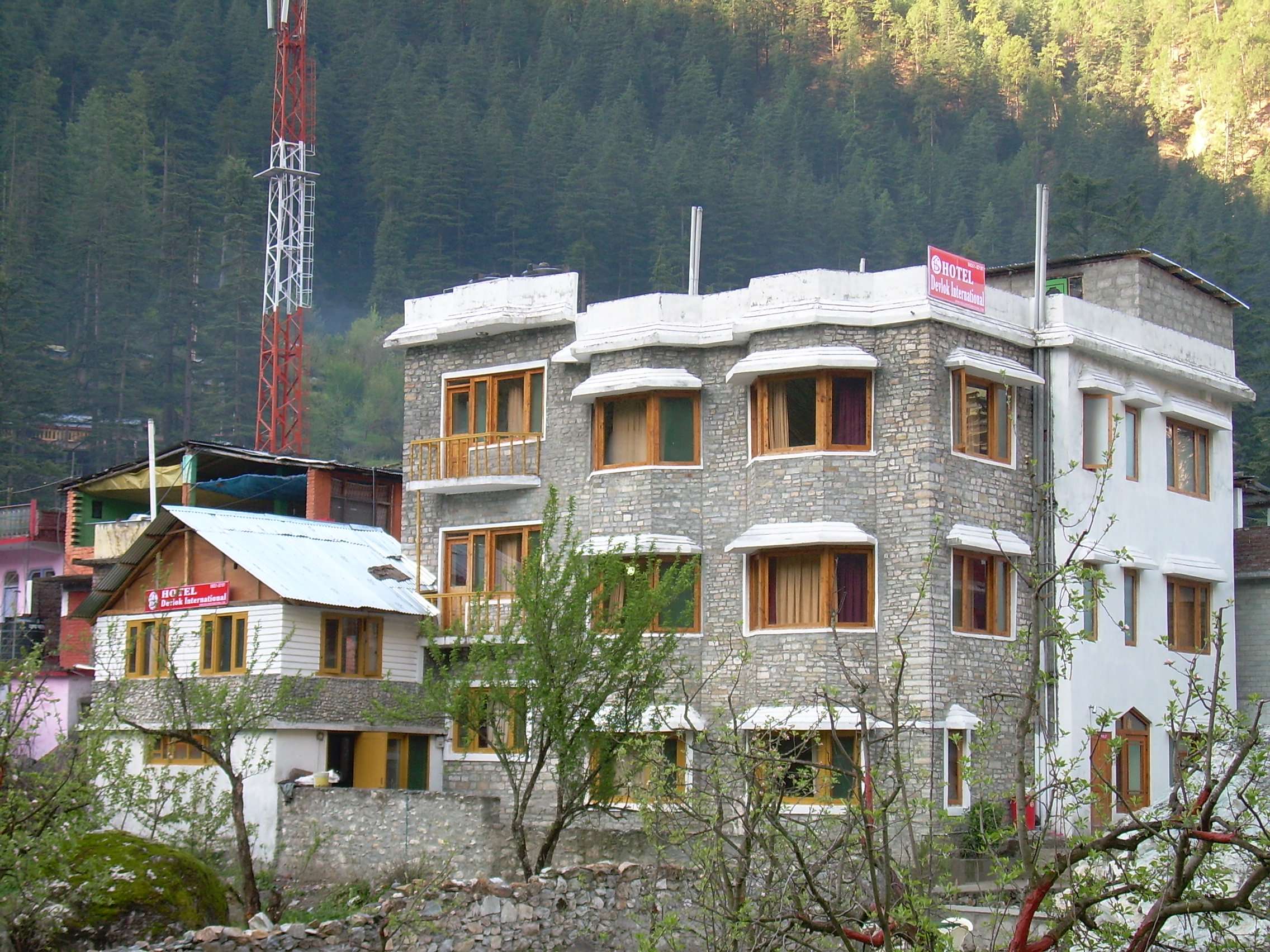 Devlok International