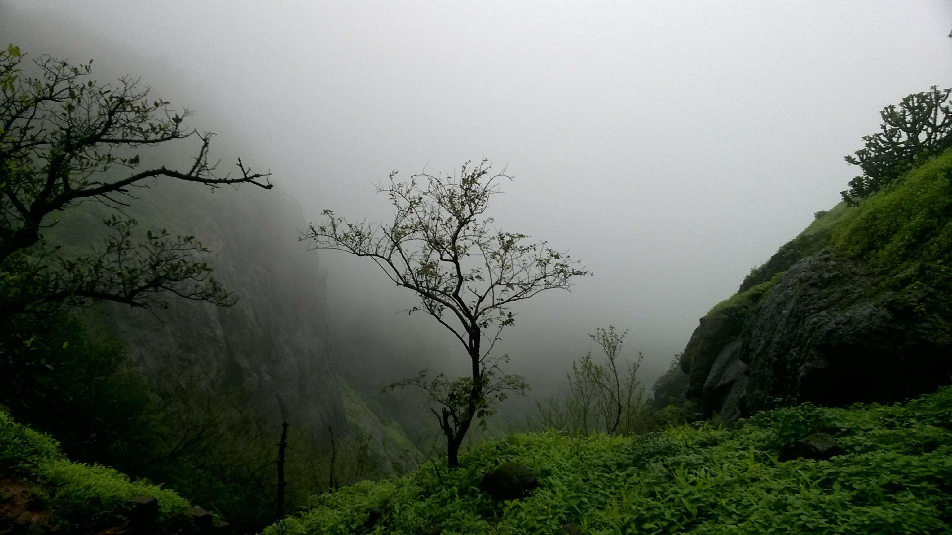 Prabalgad Trek, Panvel | Book Prabalgad Fort Trek @ ₹820 Only!