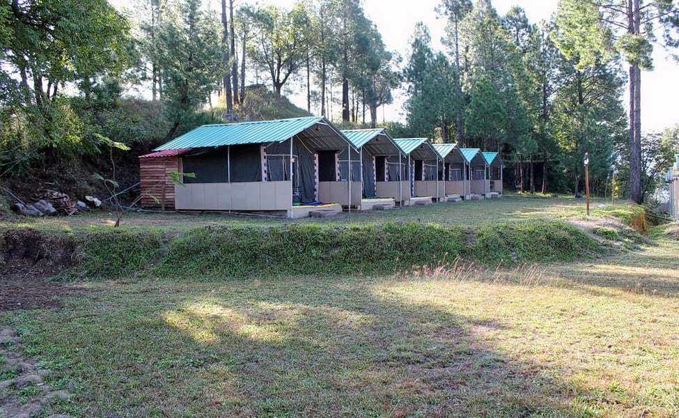 Nature Camping in Shimla