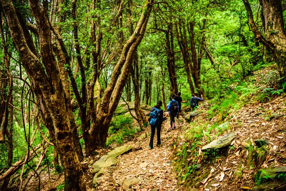 Day Trek to Jogini Waterfalls Flat 10% off