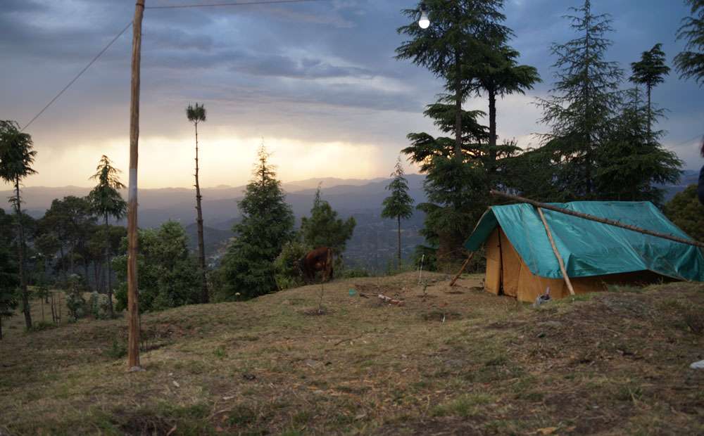 Offbeat Camping Experience in Shimla
