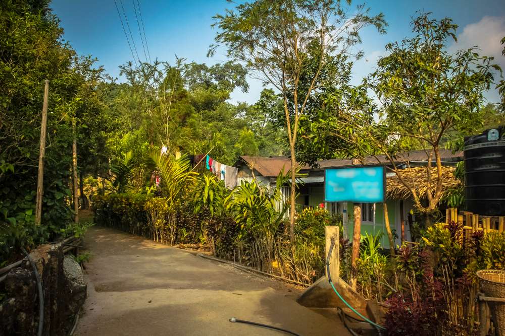 Mawlynnong Village (78 km from Shillong)