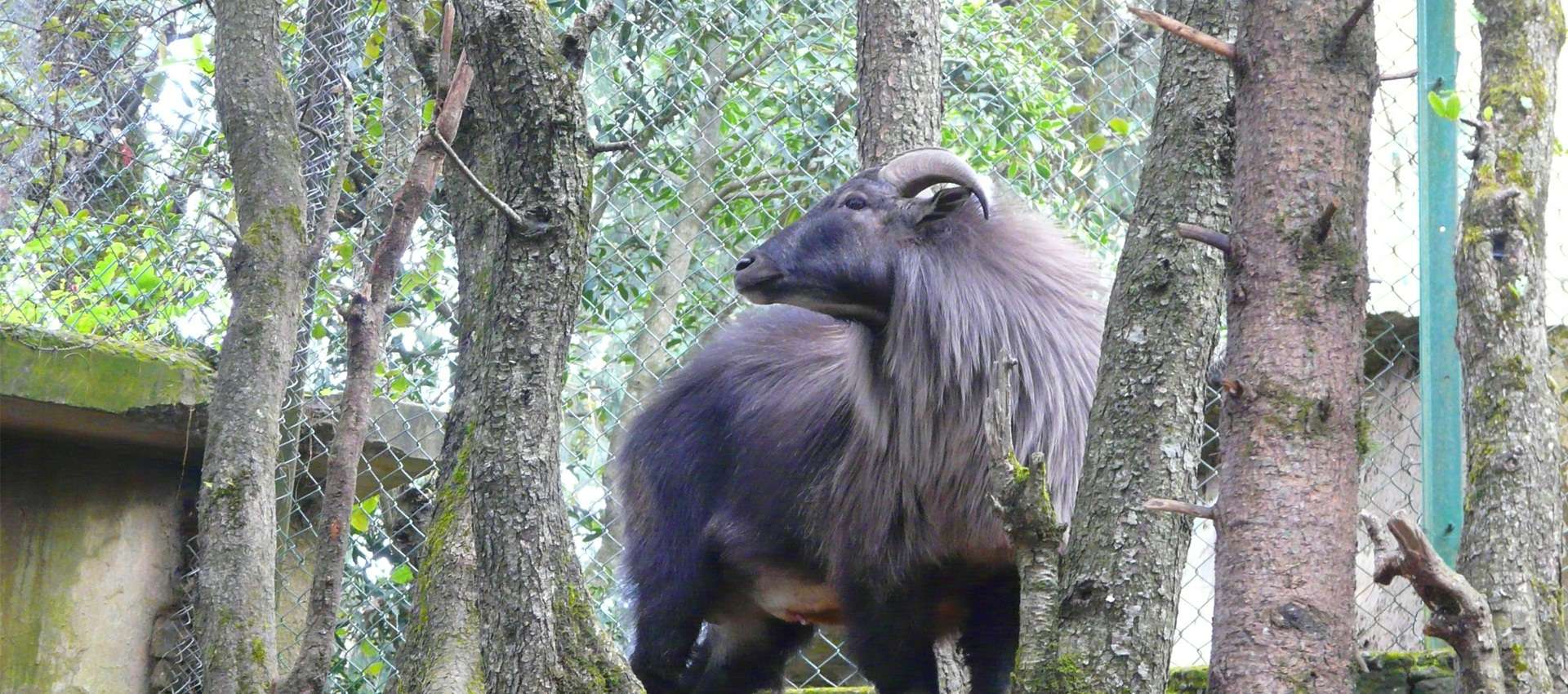 Himalayan Nature Park