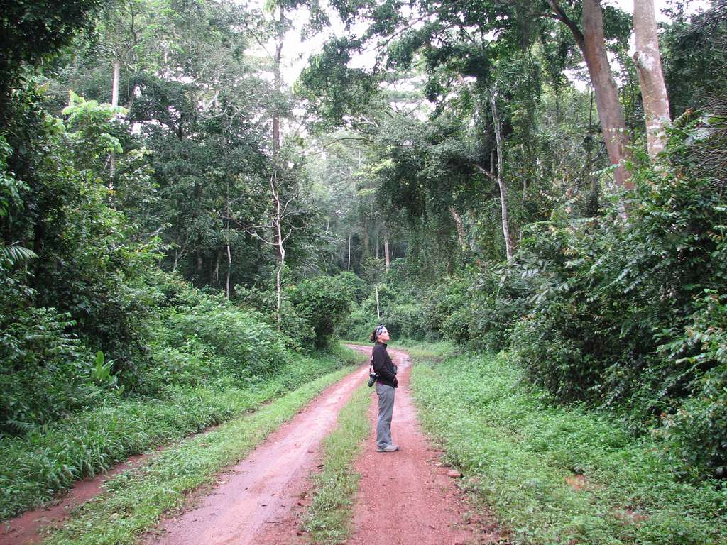 Shimla Reserve Forest Sanctuary