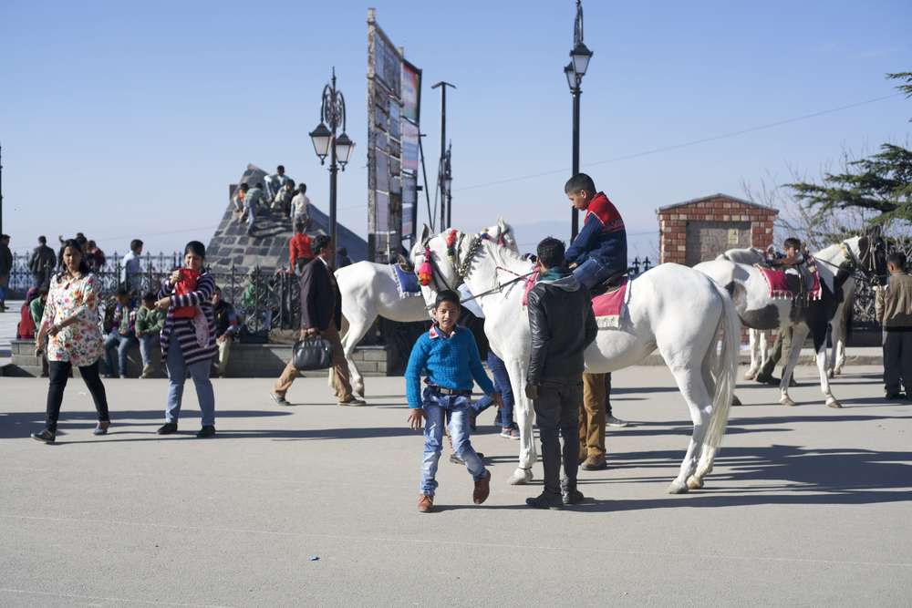 Horse Riding in Shimla