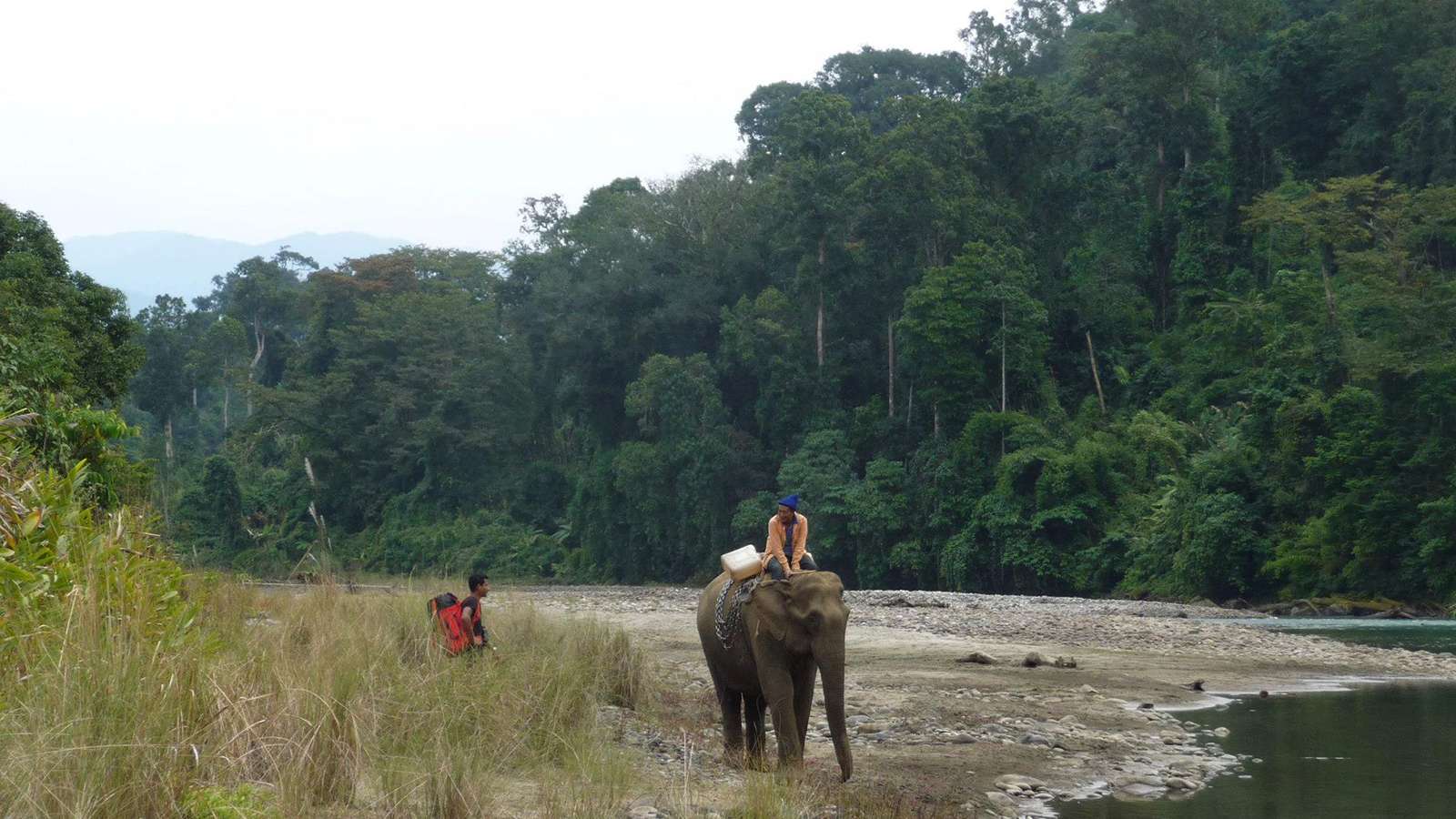 Namdapha National Park