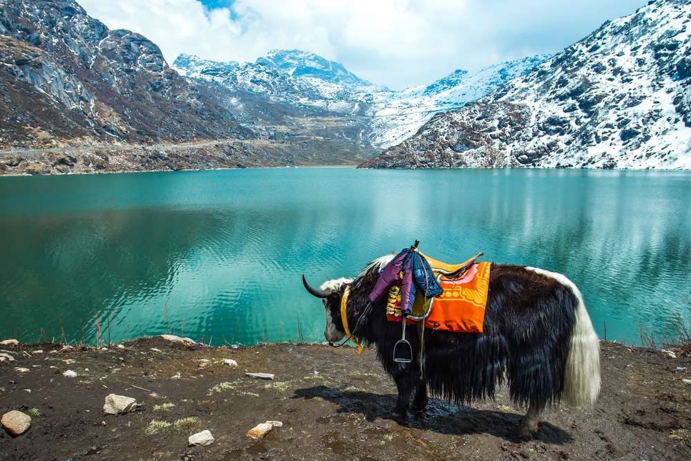 Tsomgo Lake, Sikkim