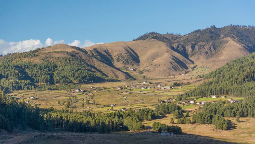 Phobjikha Valley, Wangdue