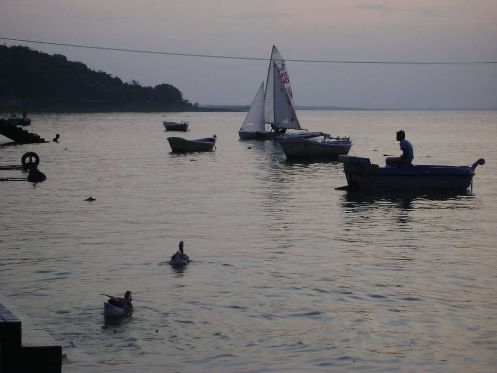 Sailing at Bada Talab, Bhopal