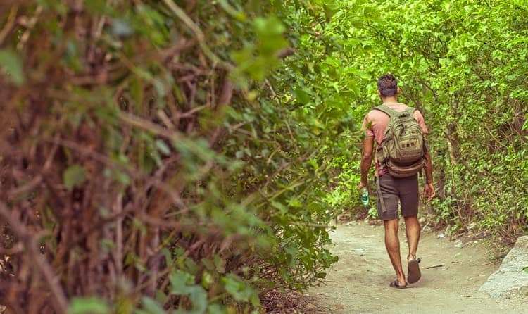 Ralamandal Wildlife Sanctuary Trek