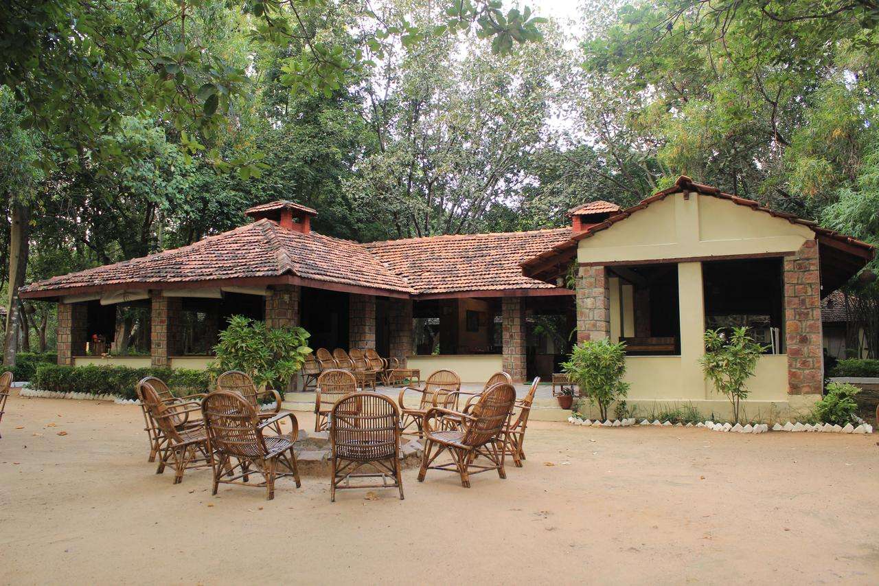Tiger Trails Resort, Bandhavgarh National Park