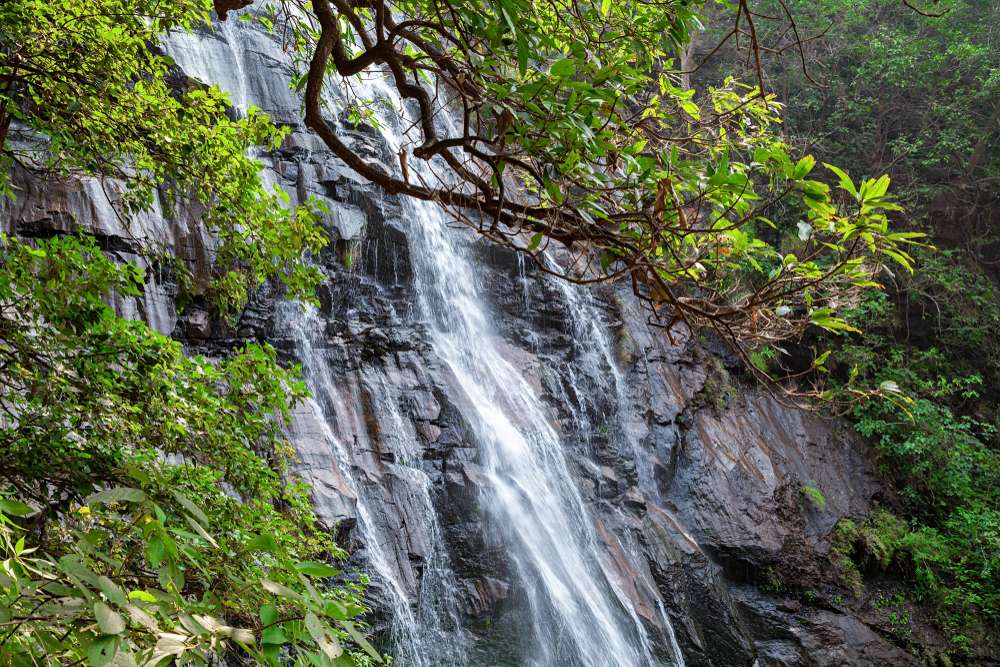 See the Mesmerising Beauty of the Pandav Waterfall