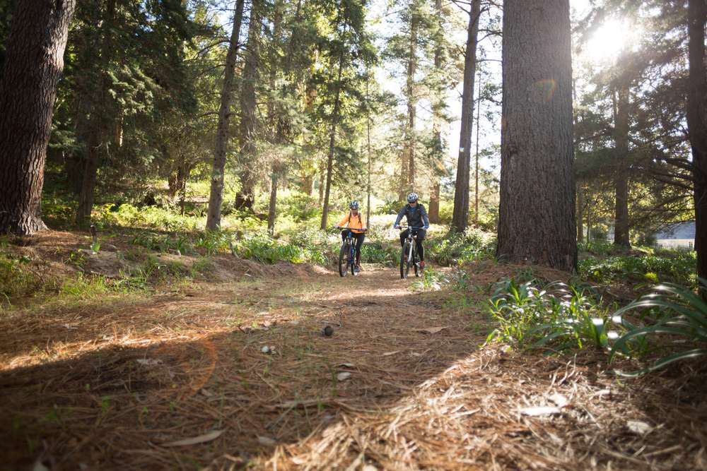 Cycling in a Thickly Forested Island Formed near the Betwa River, Orchha