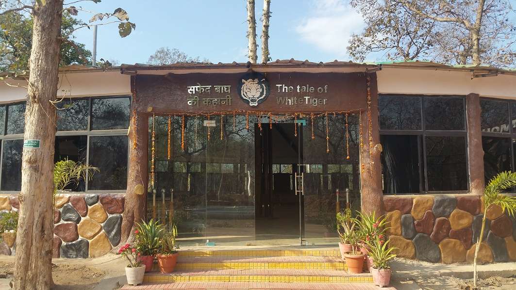 White Tiger Resort