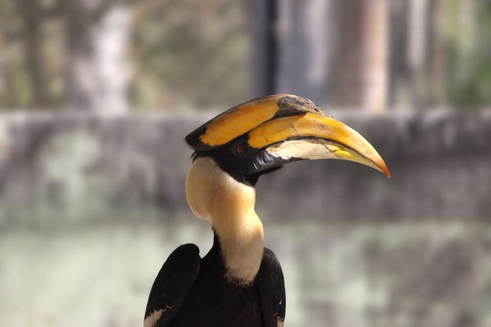 Karera Wildlife Sanctuary