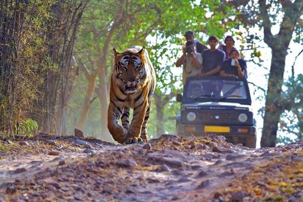 Ratapani Wildlife Sanctuary