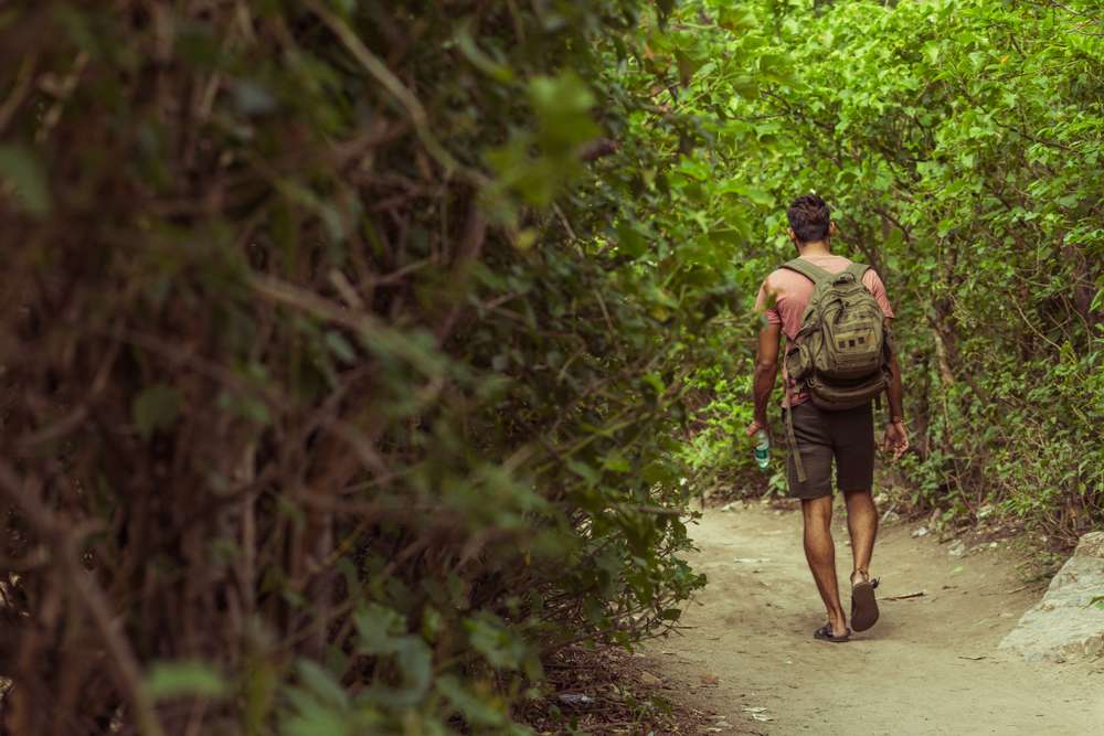Trekking in Ralamandal Wildlife Sanctuary