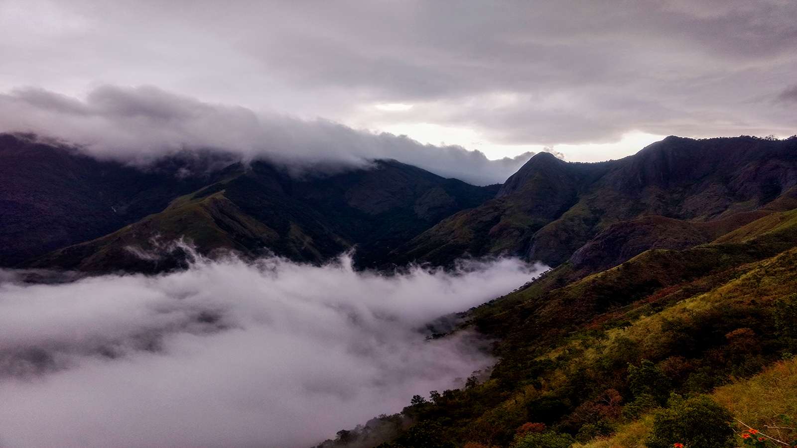 Kurinjini Top Station Trek From Chennai Flat 20% Off