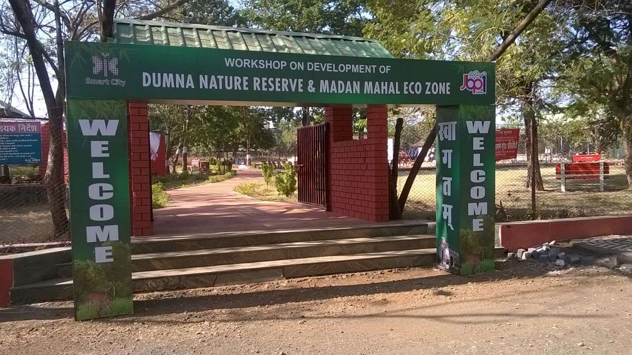 Get Lost in Nature at Dumna Reserve Park