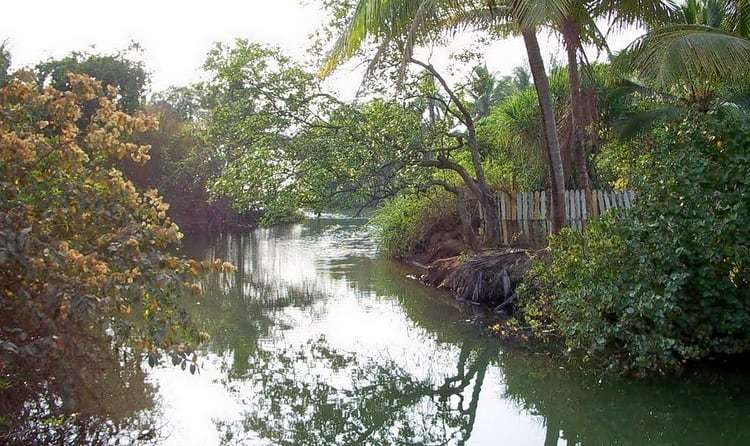 Spend some Quiet Time amid Nature at Sangram Sagar Lake
