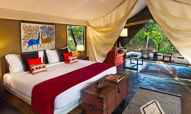 Reni Pani Jungle Resort