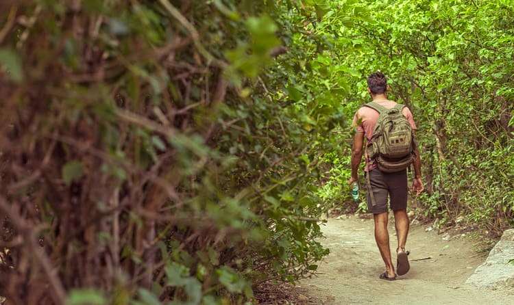 Go for Trekking at Ralamandal Wildlife Sanctuary