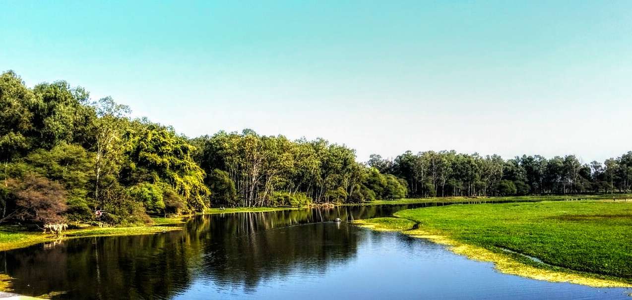 Gulawat Lotus Valley, Indore