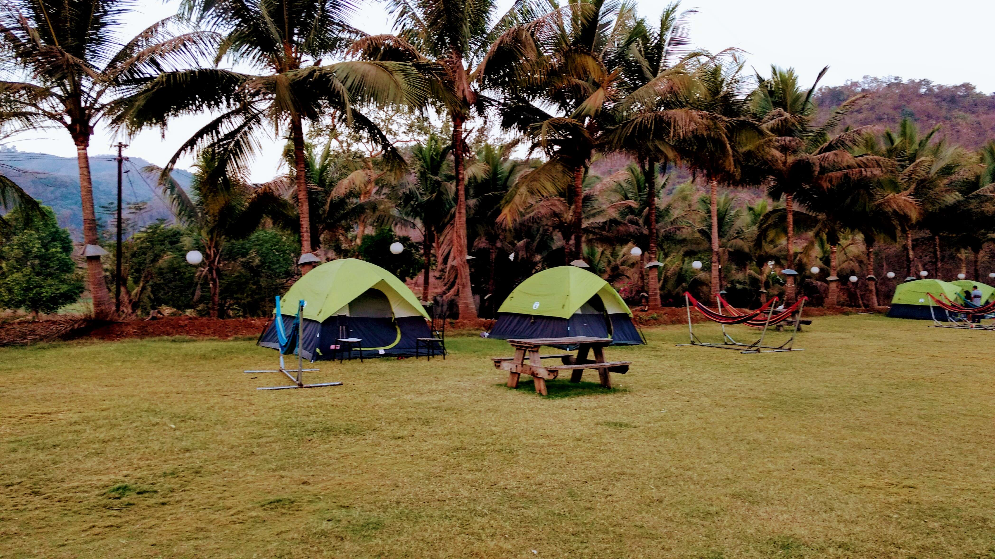 Nature Camping Experience, Karnala, Near Mumbai - 18% Off