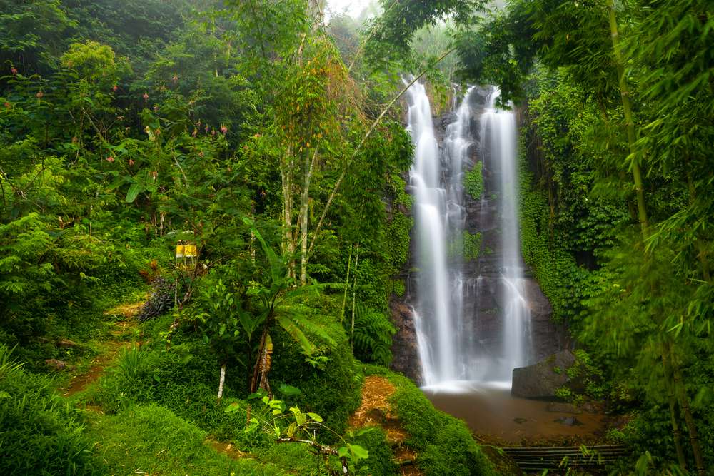 Explore Hidden Waterfalls in Munduk