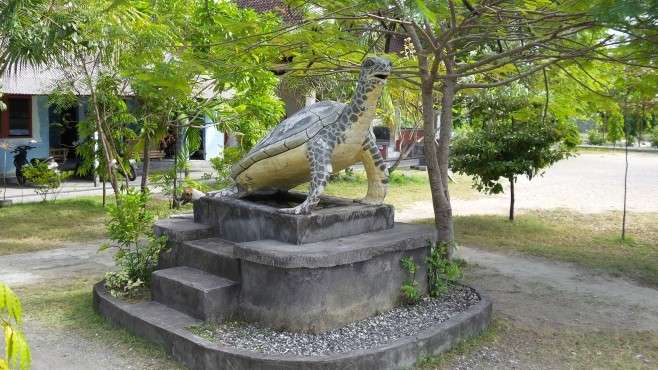 Pet the Turtles at Turtle Sanctuary