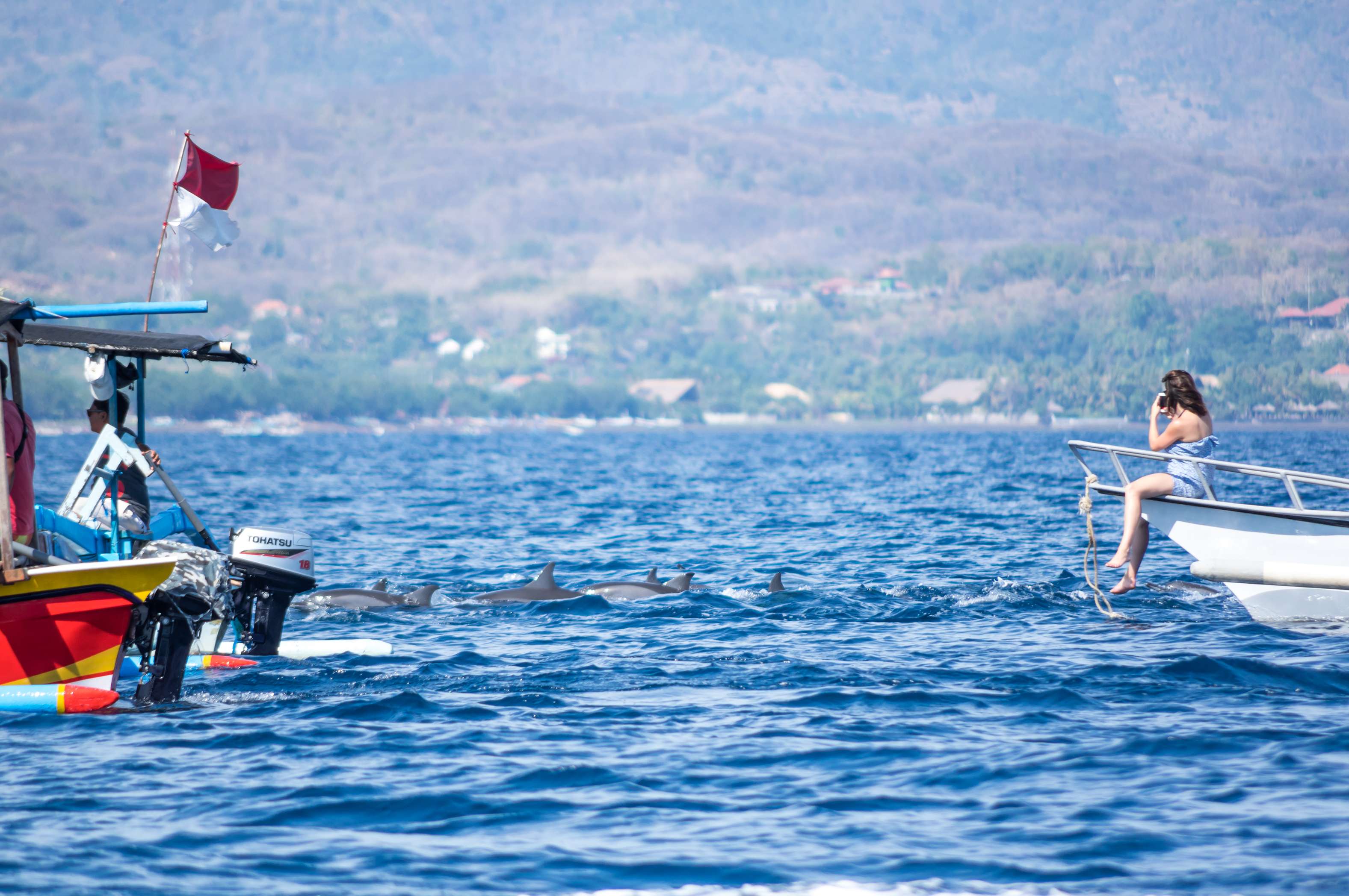 Spot the Dolphins in Lovina