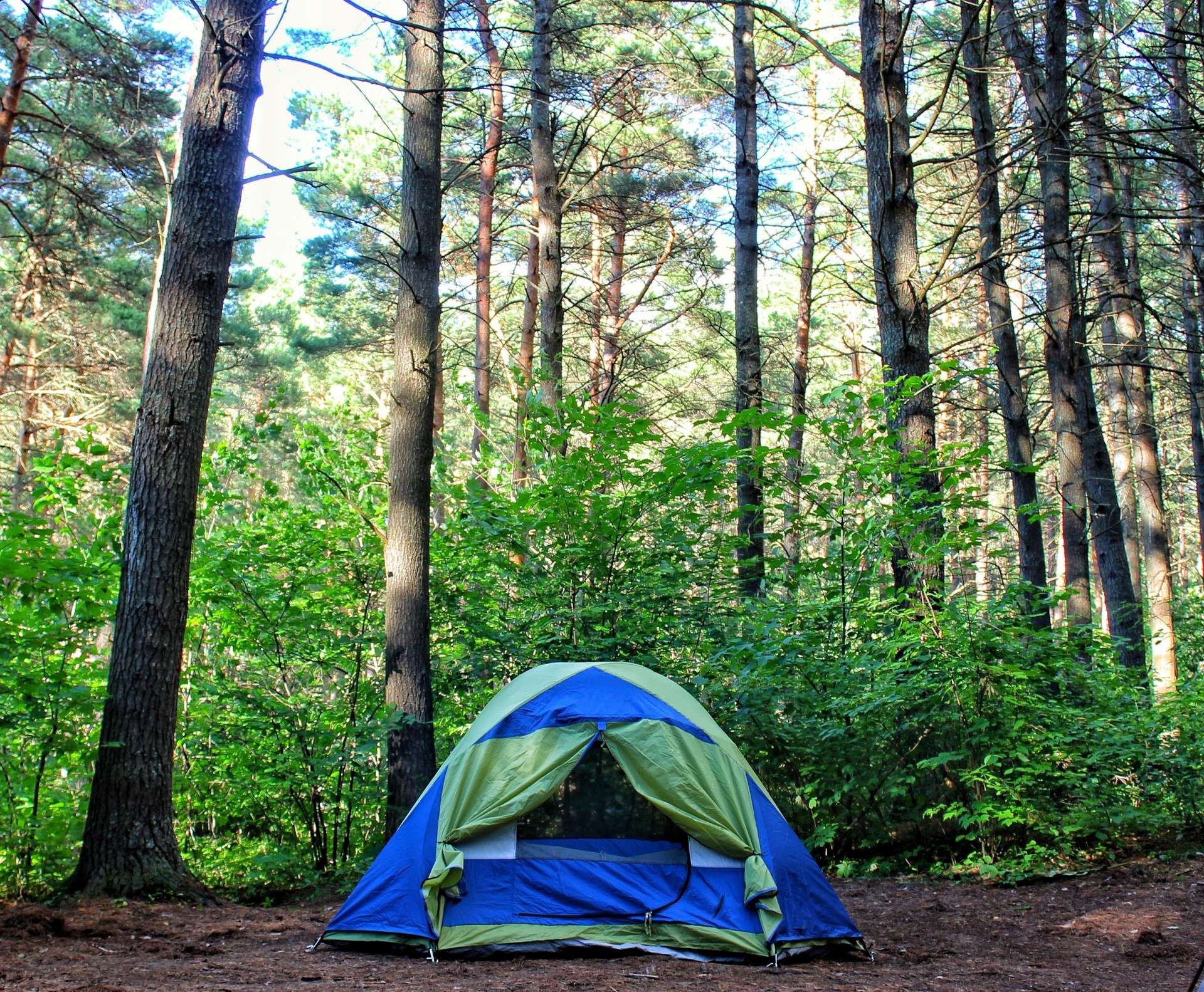 Go for Adventurous Jungle Camping