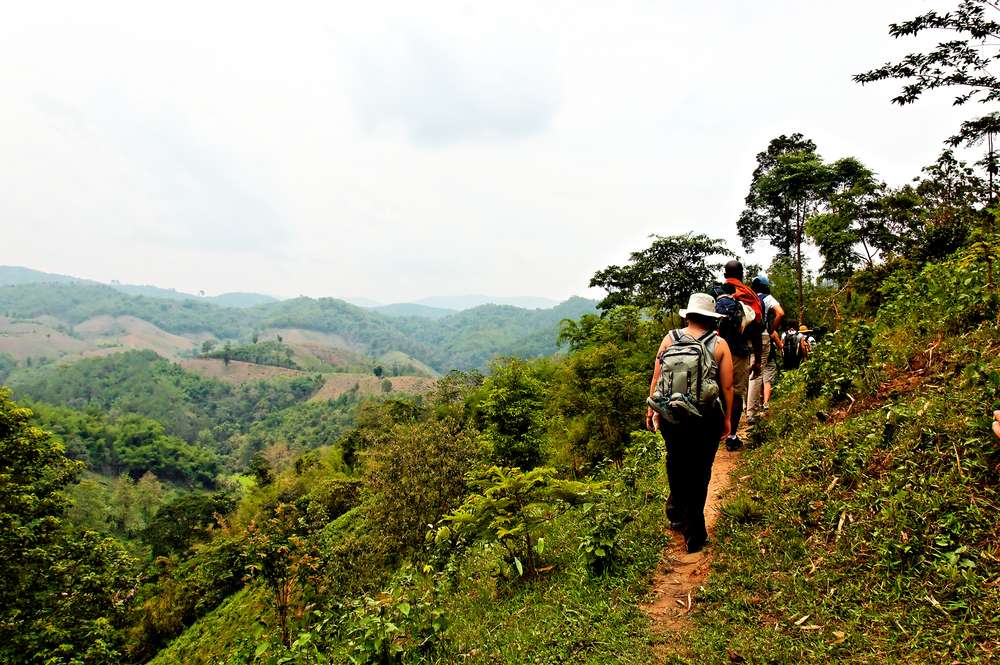 Trekking in Ratapani Jungle Range
