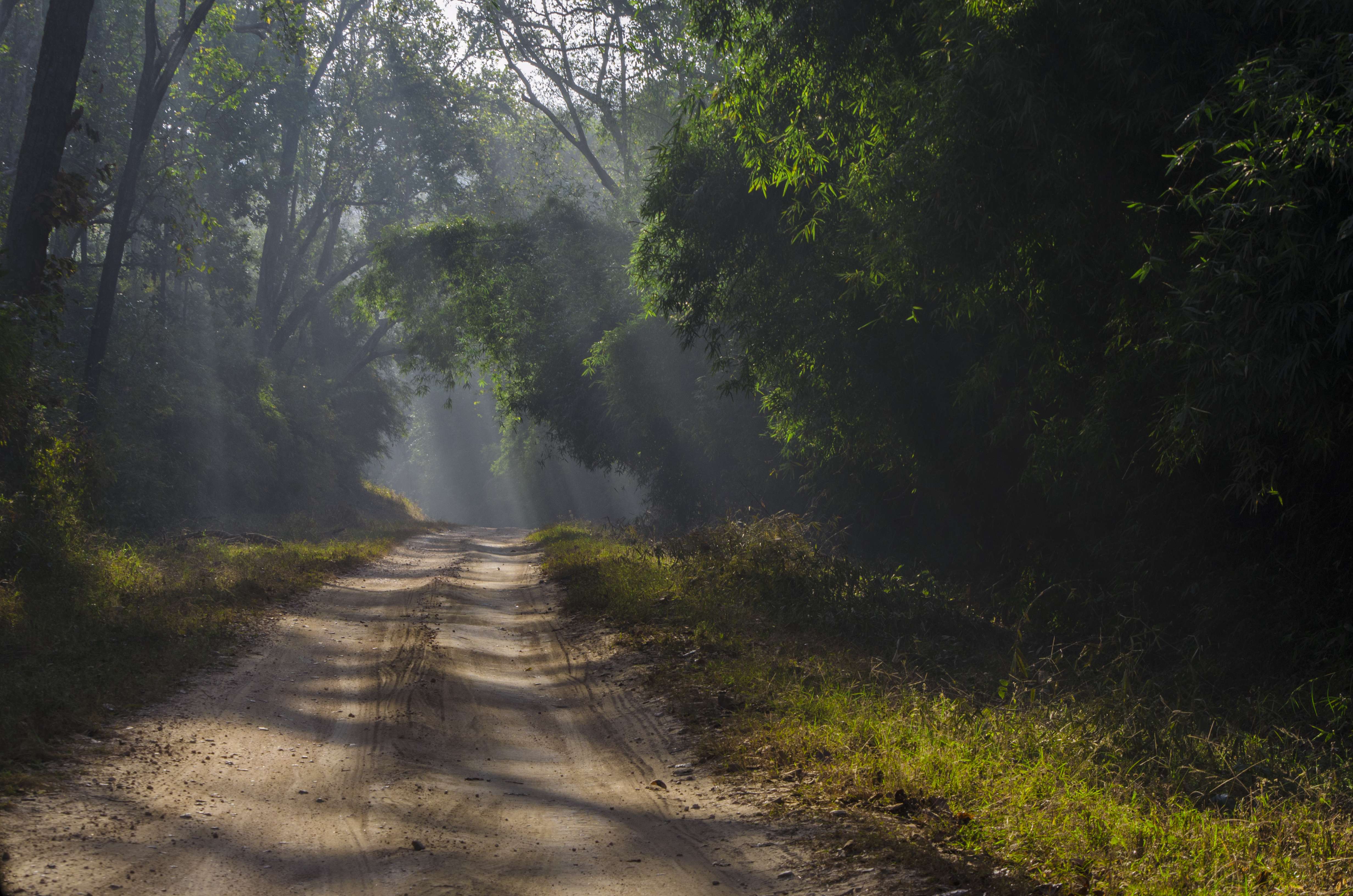 10 Best Road Trips to Take near Bhopal