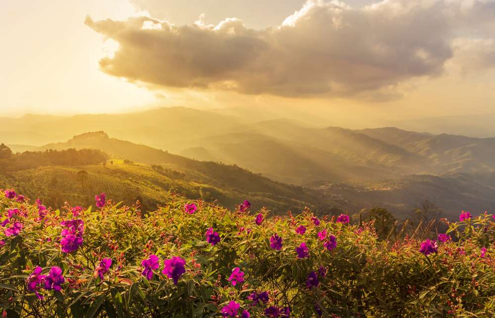 Valley of Flowers Trek 