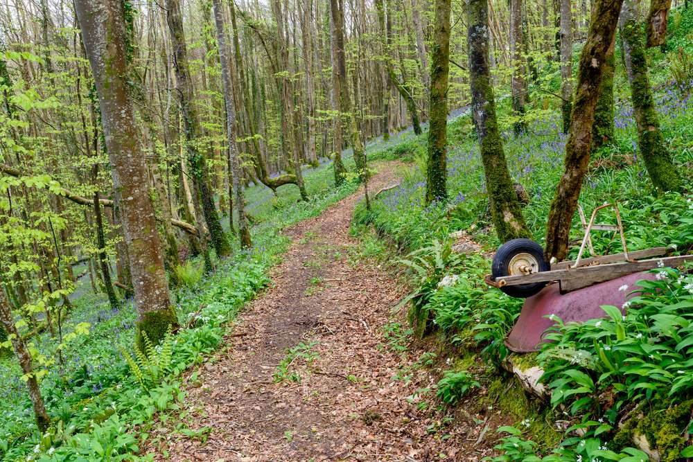 How to Reach Madhav National Park