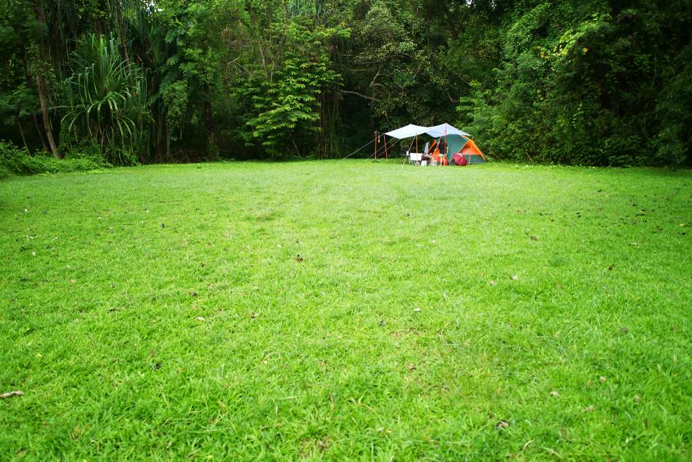 Best Time to Visit Madhav National Park