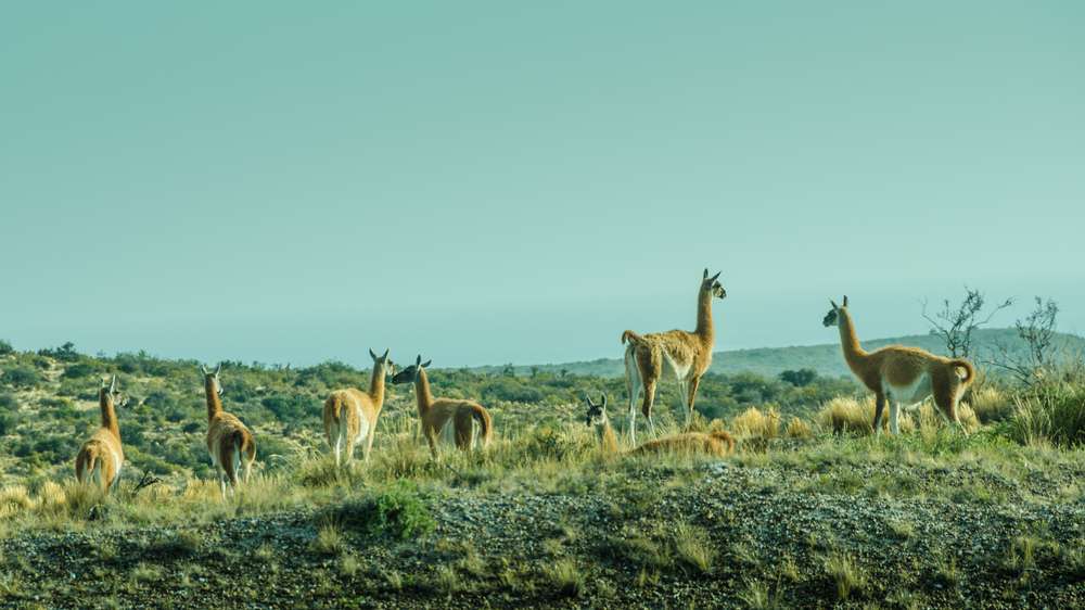 Essential Things to Keep in Mind