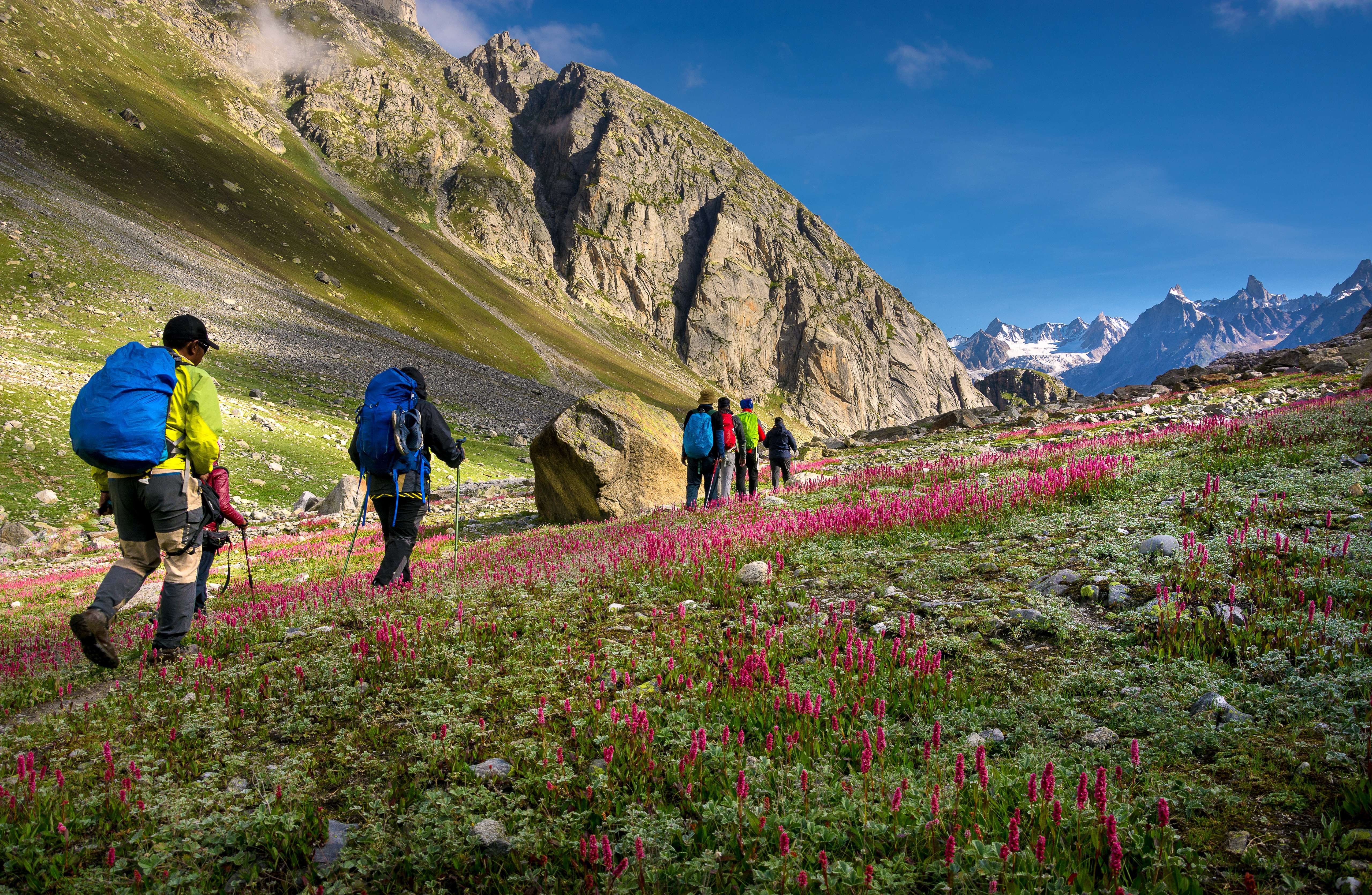 10 Short Treks in Manali - {{year}} (Starting from ₹1000 Only!)