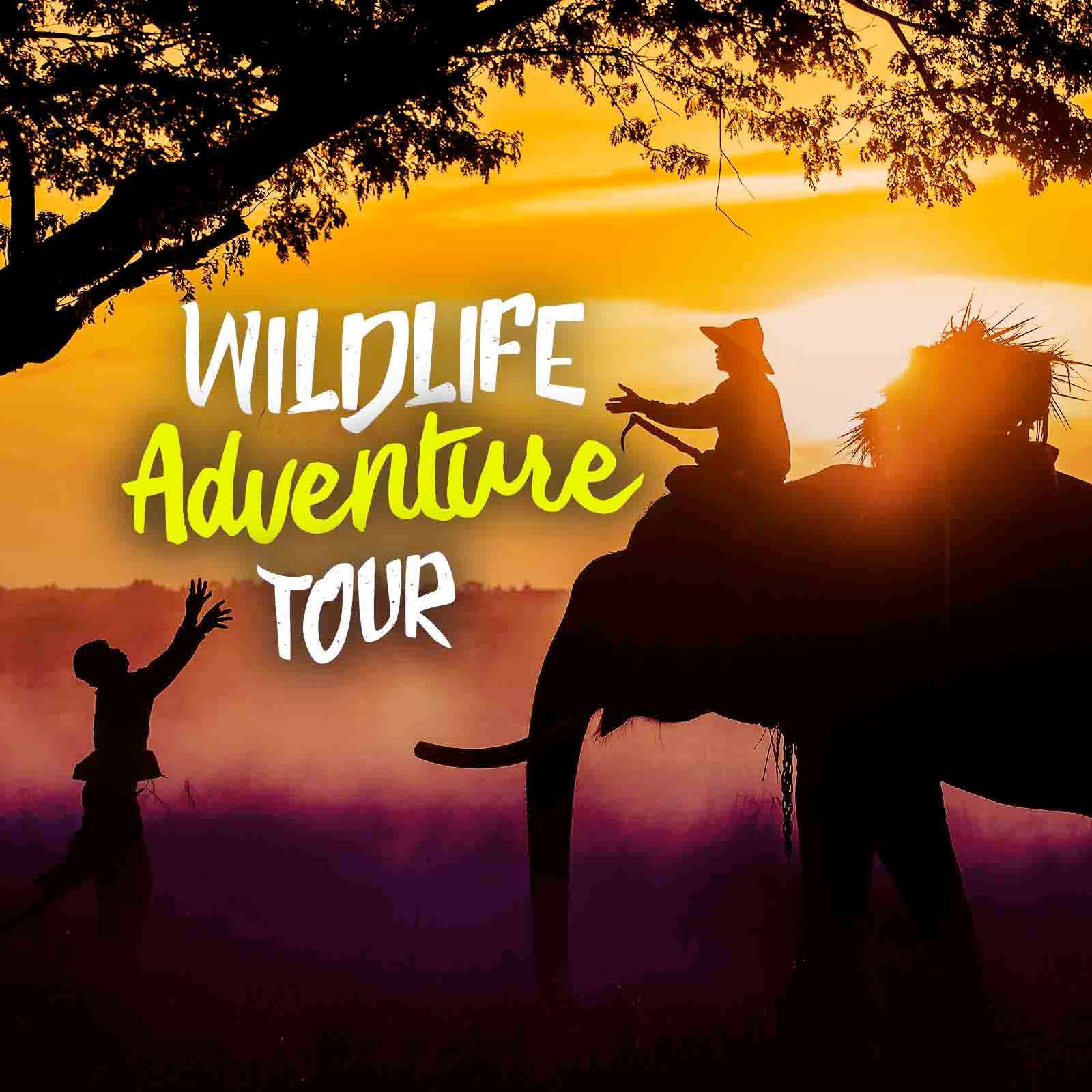 3 Days Kaziranga Guwahati Trip with Jeep Safari | Flat 13% off