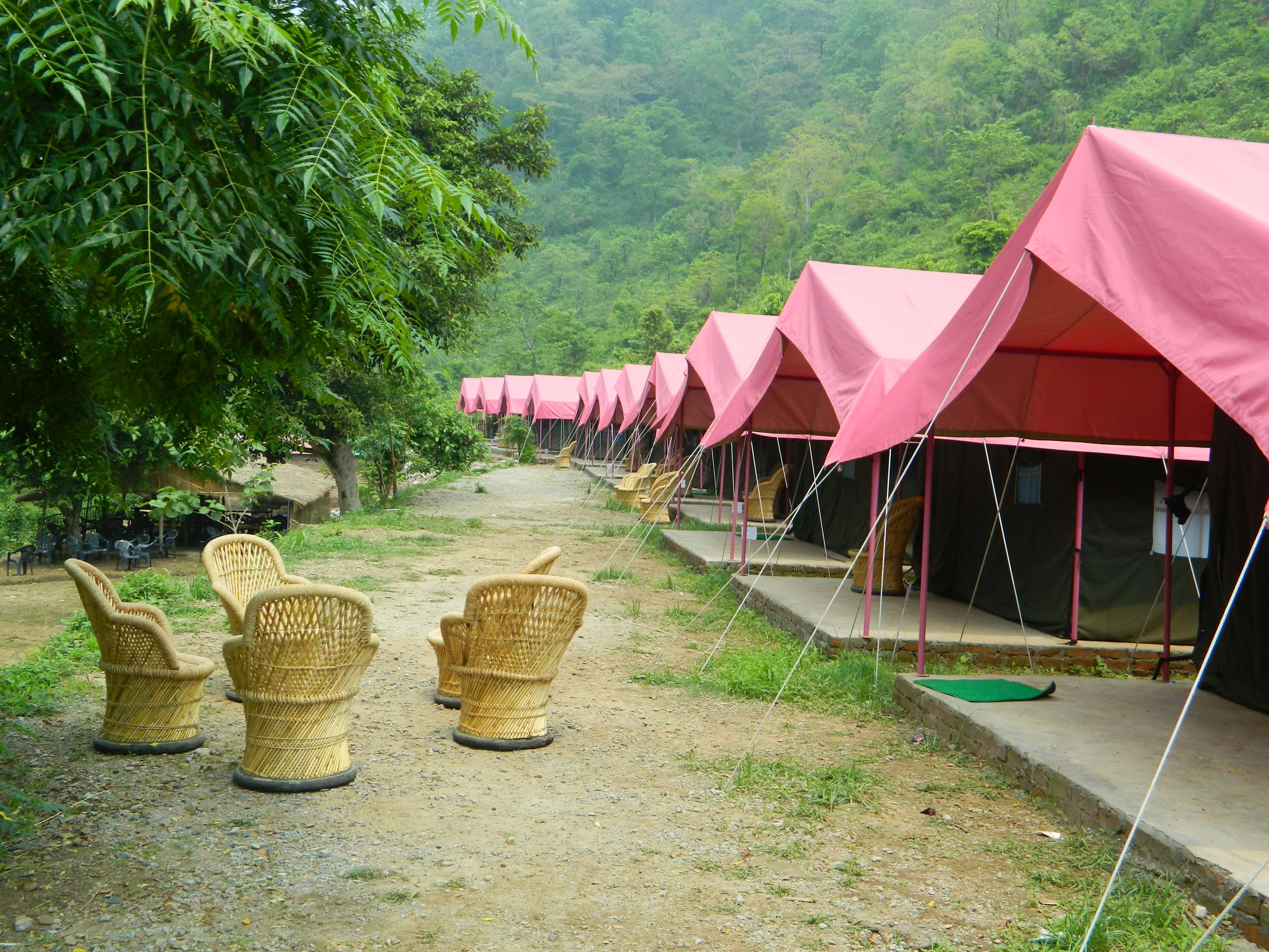 10 Best Jungle Camps in Madhya Pradesh