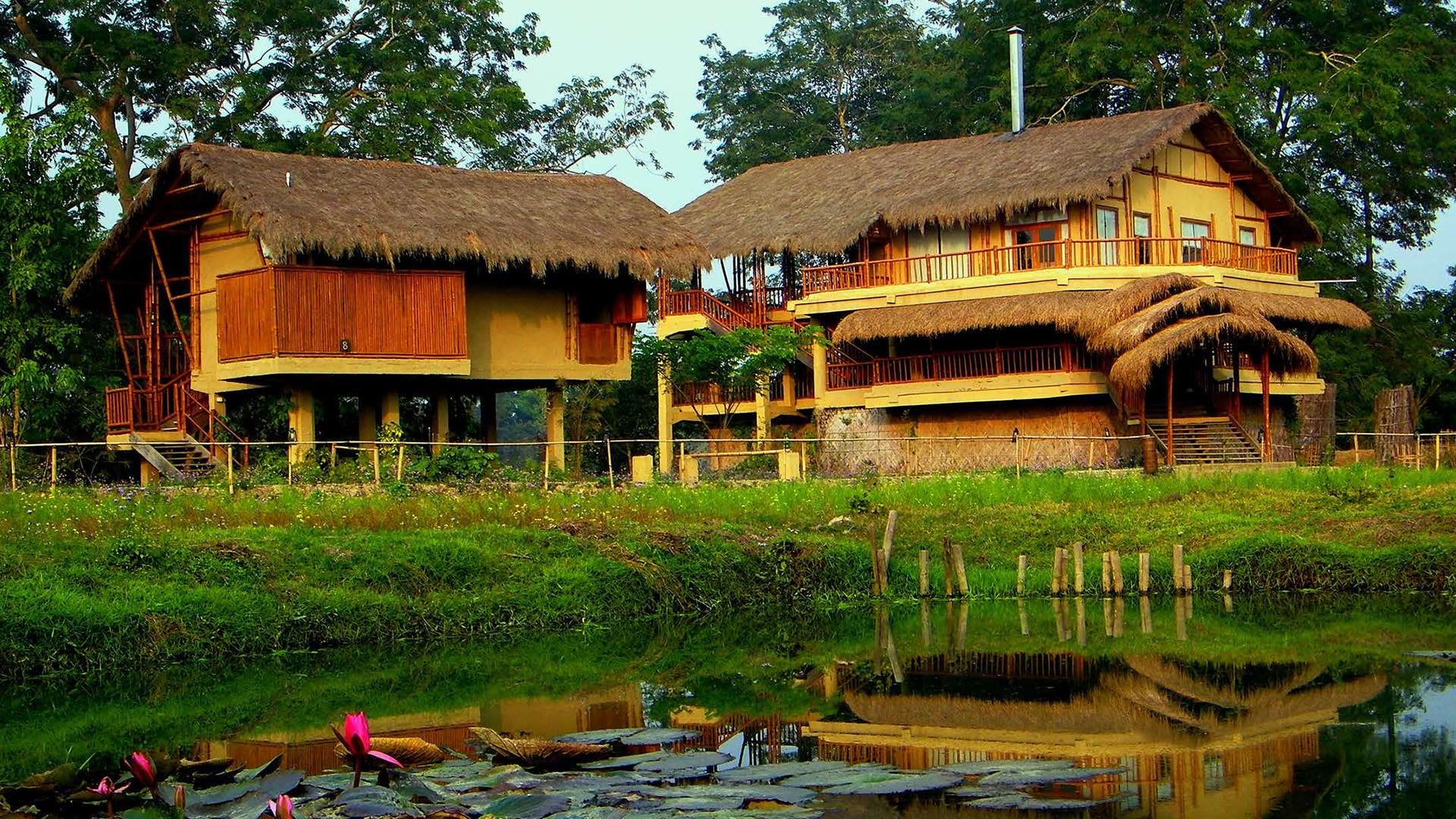 Diphlu River Lodge