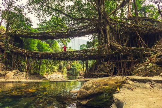 9 Best Things to Do in Cherrapunji - {{year}} (2200+ Reviews)