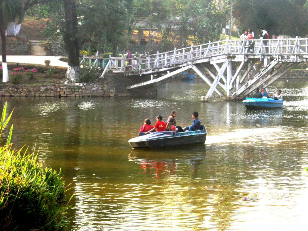 Walk Around Ward's Lake