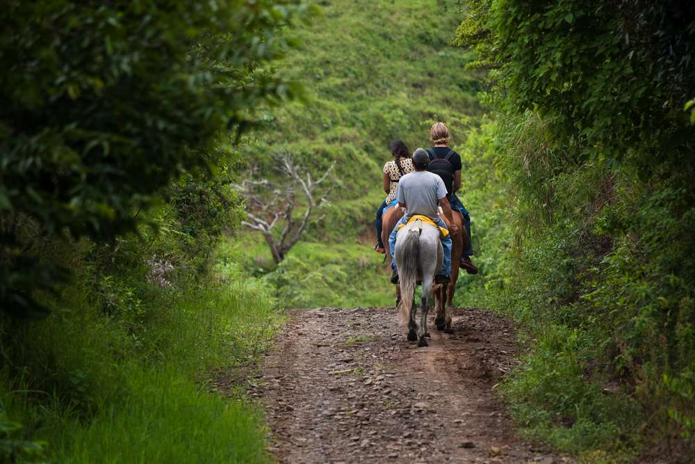 Horse Riding to Shillong Peak