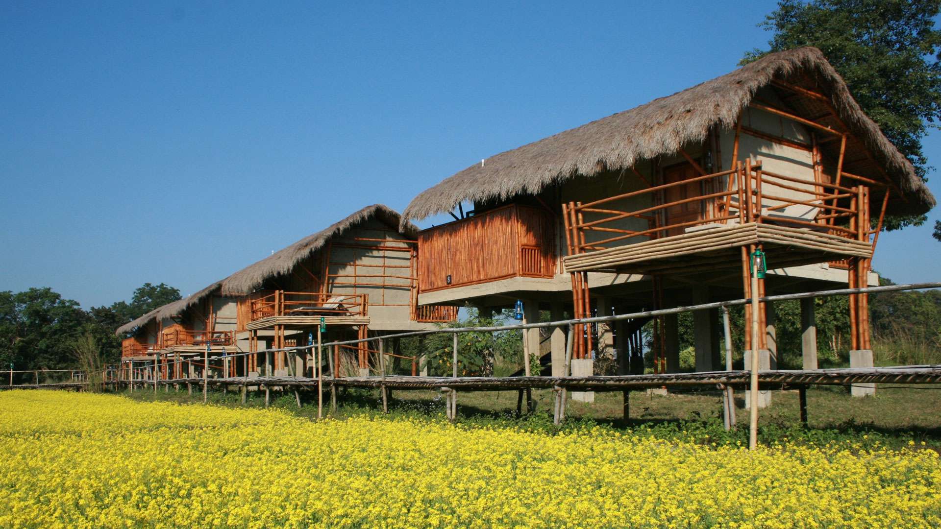 Diphlu River Resort